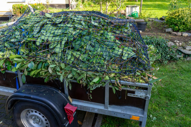 Best Estate Cleanout  in Fairview, OR